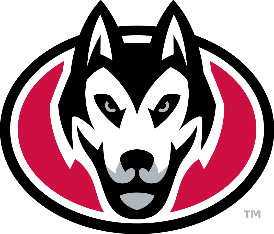 St. Cloud State Huskies 2014-Pres Secondary Logo diy iron on heat transfer